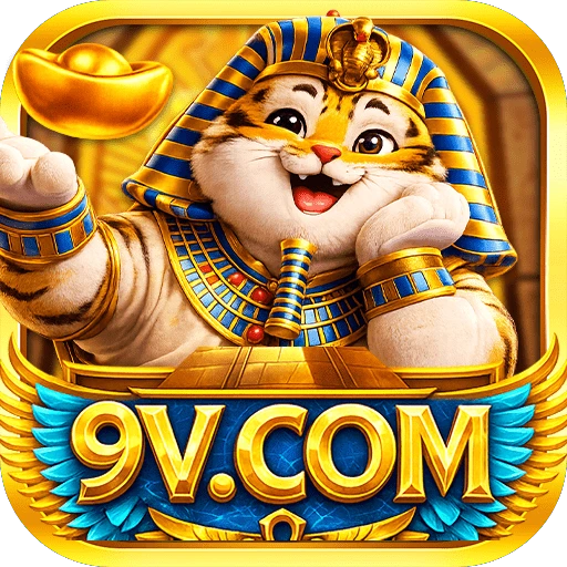 9V pix Logo